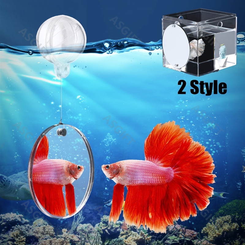 Acrylic Aquarium Betta Mirror Fish Tank Floating Mirror For Fish Betta