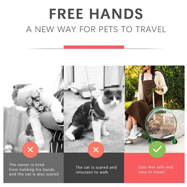 Are Dog Trolleys Safe