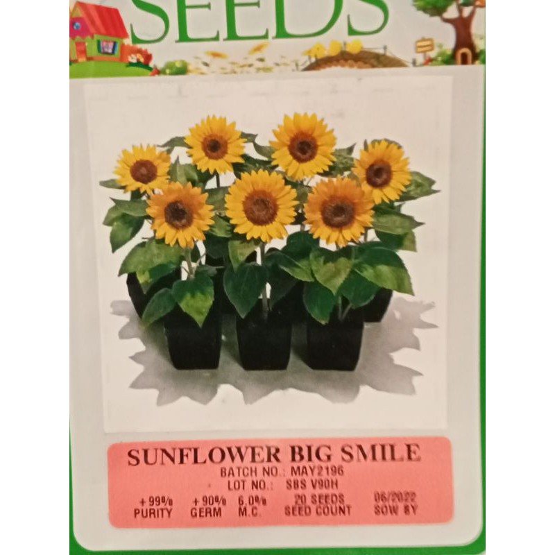 Sunflower Big Smile By Ramgo Seeds Pack Shopee Philippines