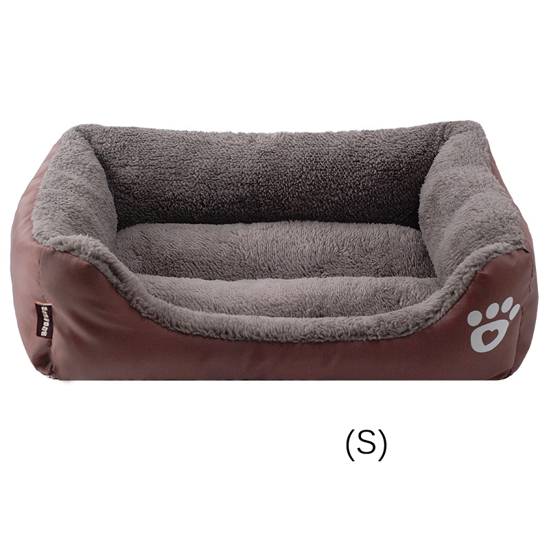 cavapoo potty training