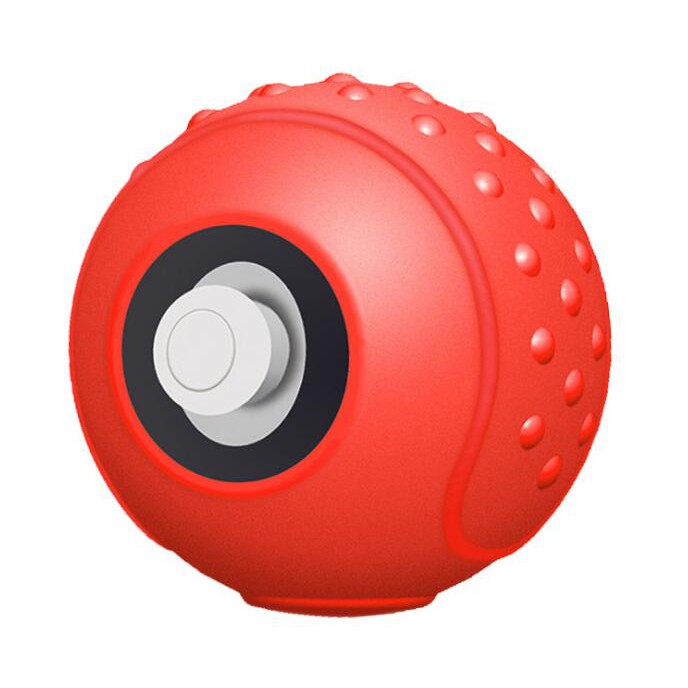 switch pokemon ball controller