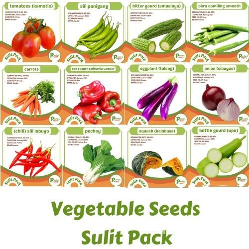 seeds for planting Vegetable Seeds Sulit Pack talong pechay ampalaya ...