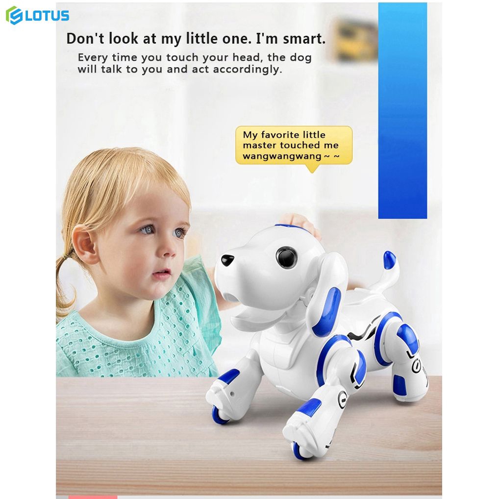 rock robot dog