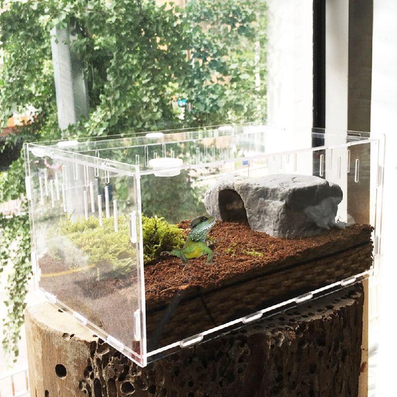 Acrylic Reptile Cage Transparent Breeding Box Insect Lizard Shopee