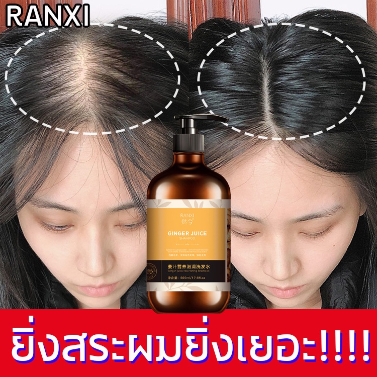 500ml Ginger Shampoo Hair loss shampoo, herbal shampoo, male and female