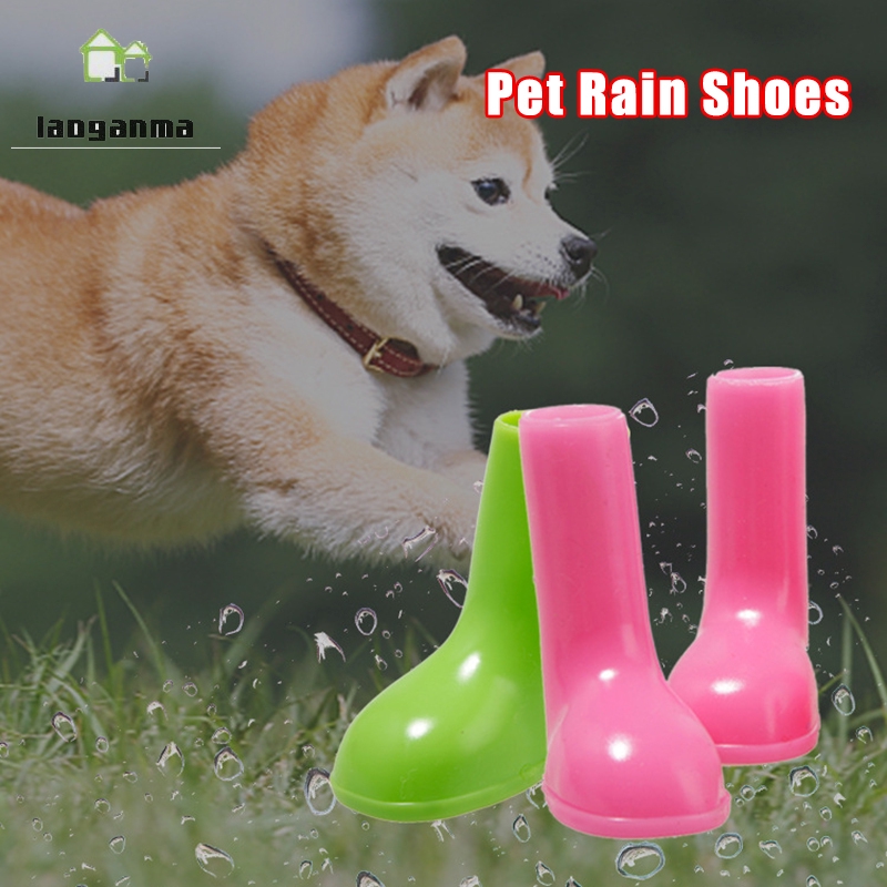 pet rain boots