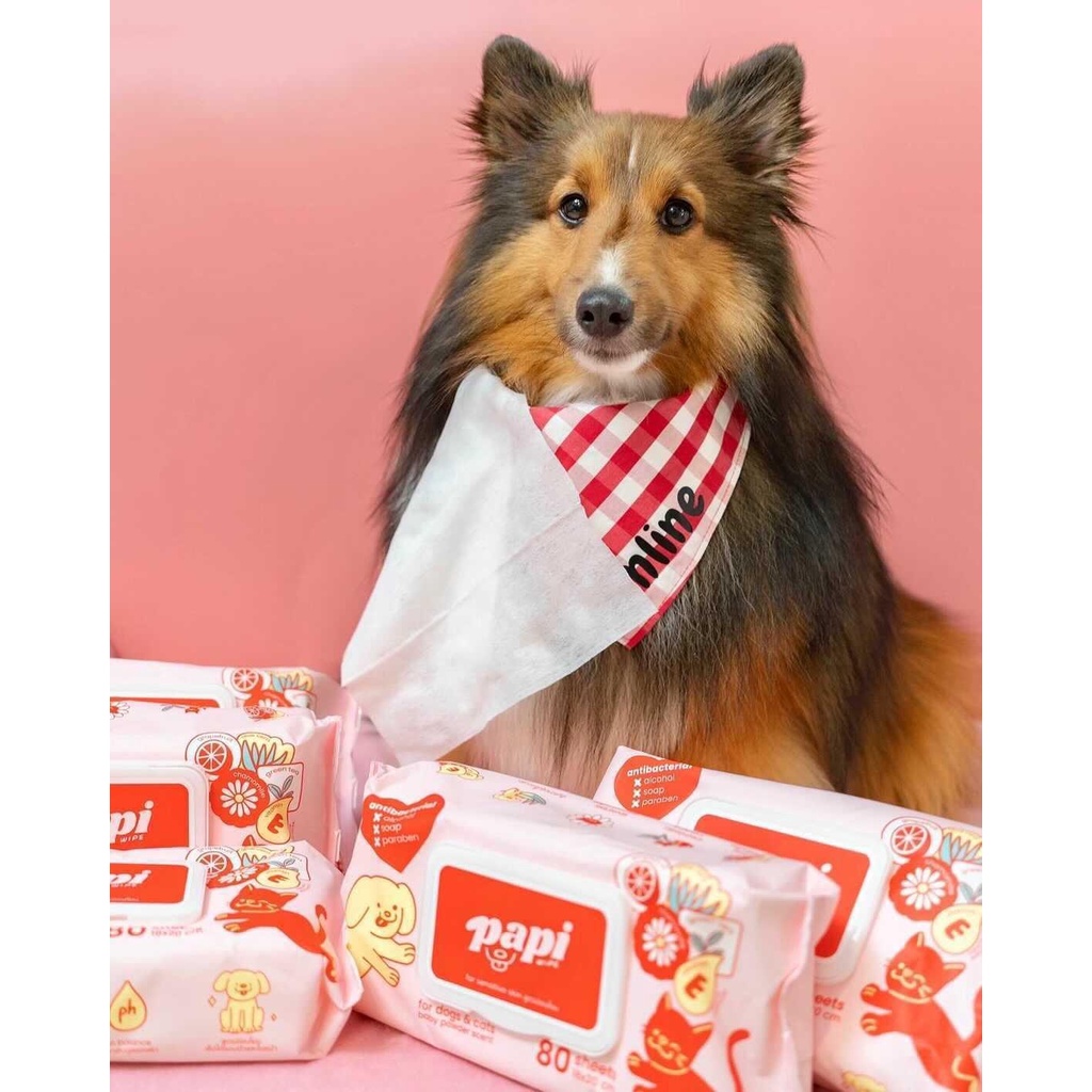 Papi wet cloth to wipe dogs and cats, gentle formula, baby powder smell, wet cloth, papi, eliminates #4