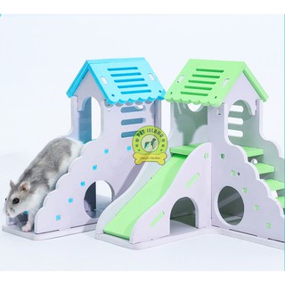 Hamster playing sleeping house
