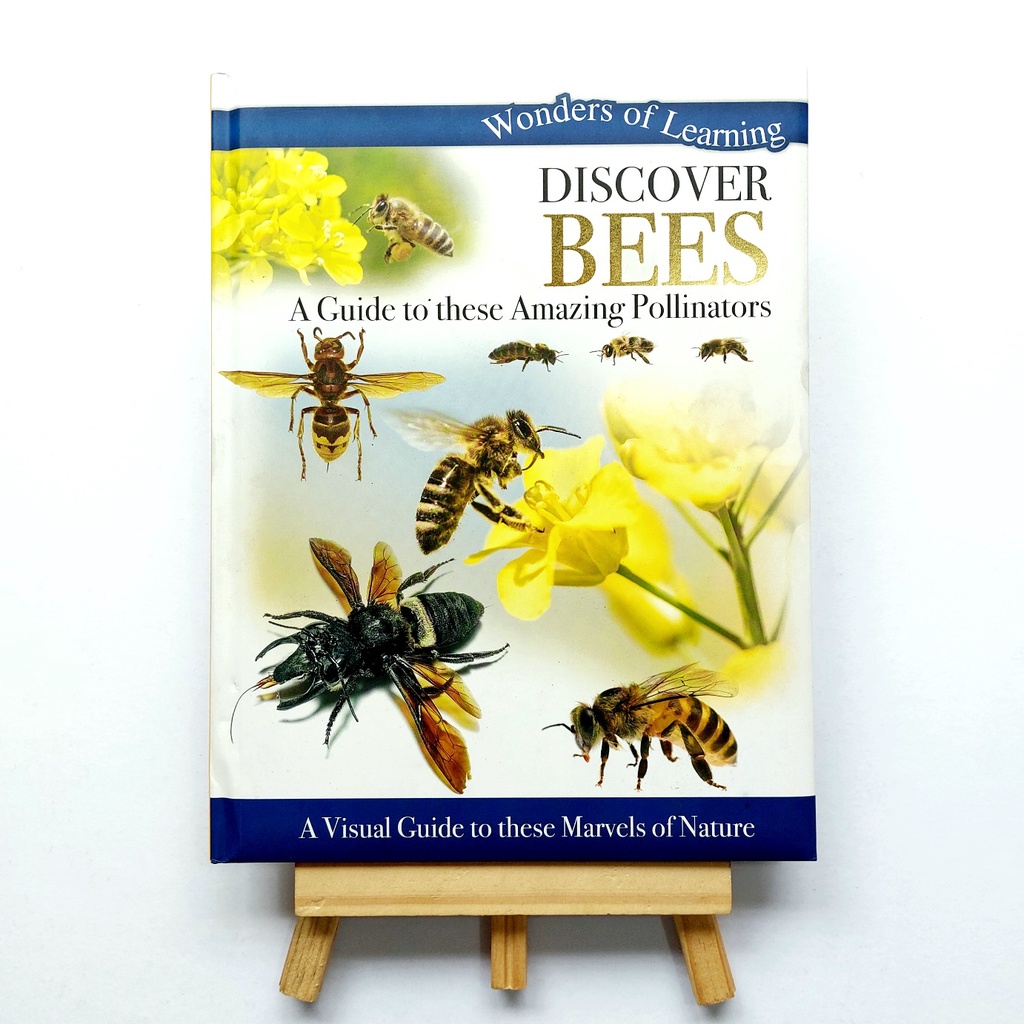 Featured image of Wonders of Learning Discover Bees