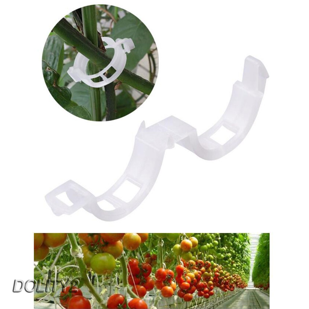 Dolity2 100pcs Garden Planting Tomato Cucumber Vine Plant Growing Support Hooks Shopee Philippines