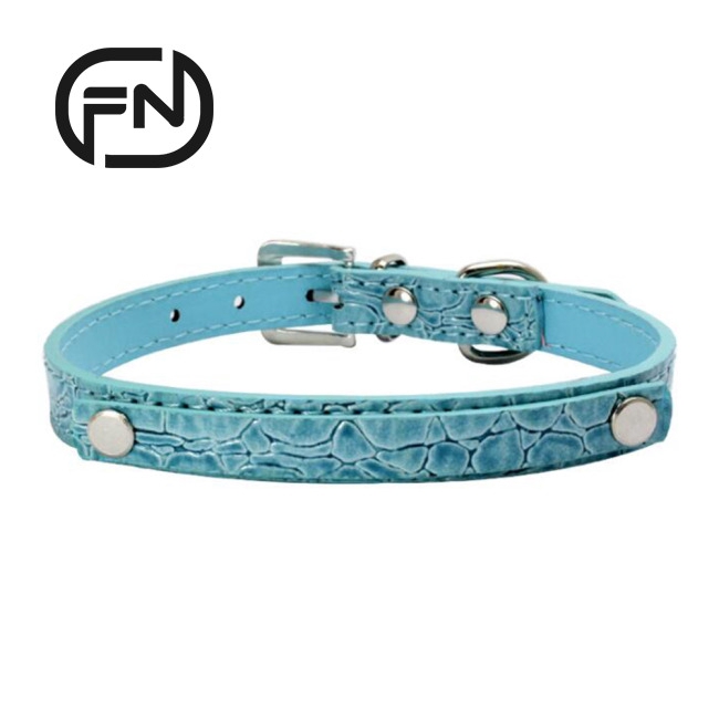 teal dog collar