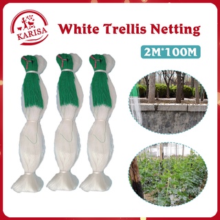Garden Plant Climbing Net Vegetables Cucumber Trellis Net Trellis Net 2M*100M
