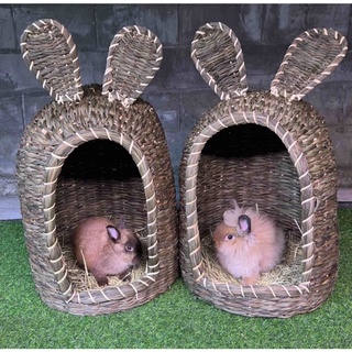 Binky Bugs Woven Grass House with Cute Bunny Ears for Cat, Dog Or Rabbit
