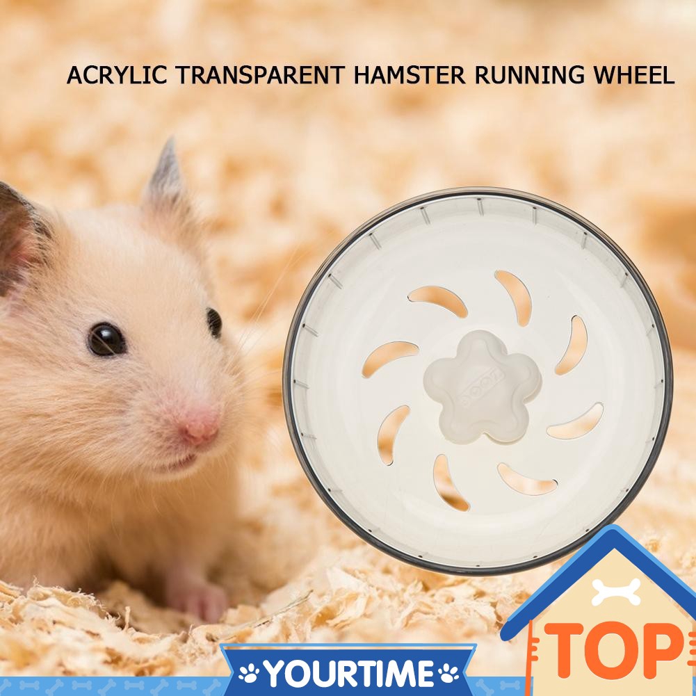 hamster wheel treadmill