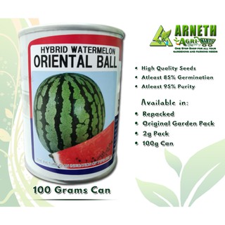 HYBRID WATERMELON ORIENTAL BALL SEEDS BY TAKII SEED 100grams CAN