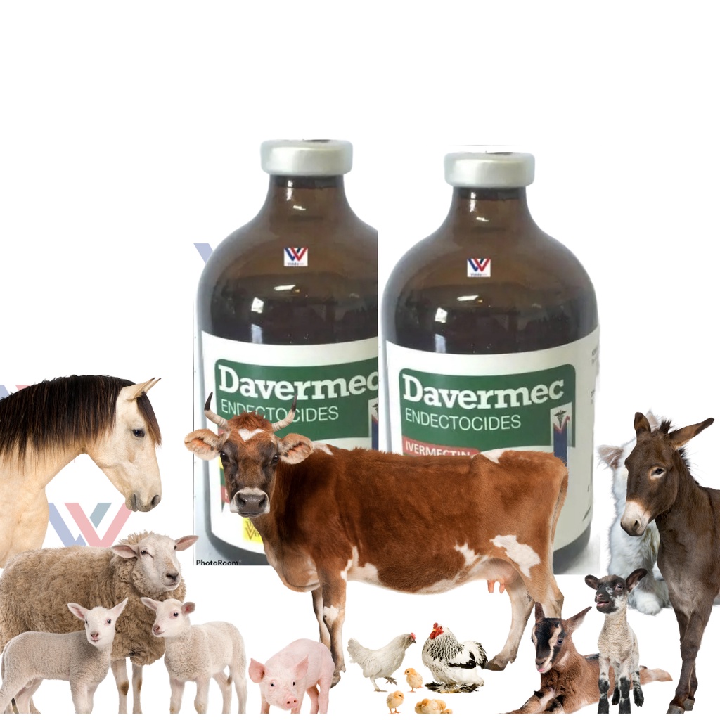 1 bot Davermec 100ml Dewormer for pigs goat cattle sheep for animals pampurga #3