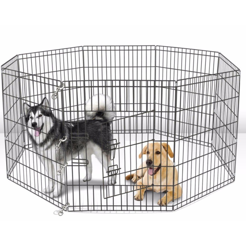 dog crates 36 inches