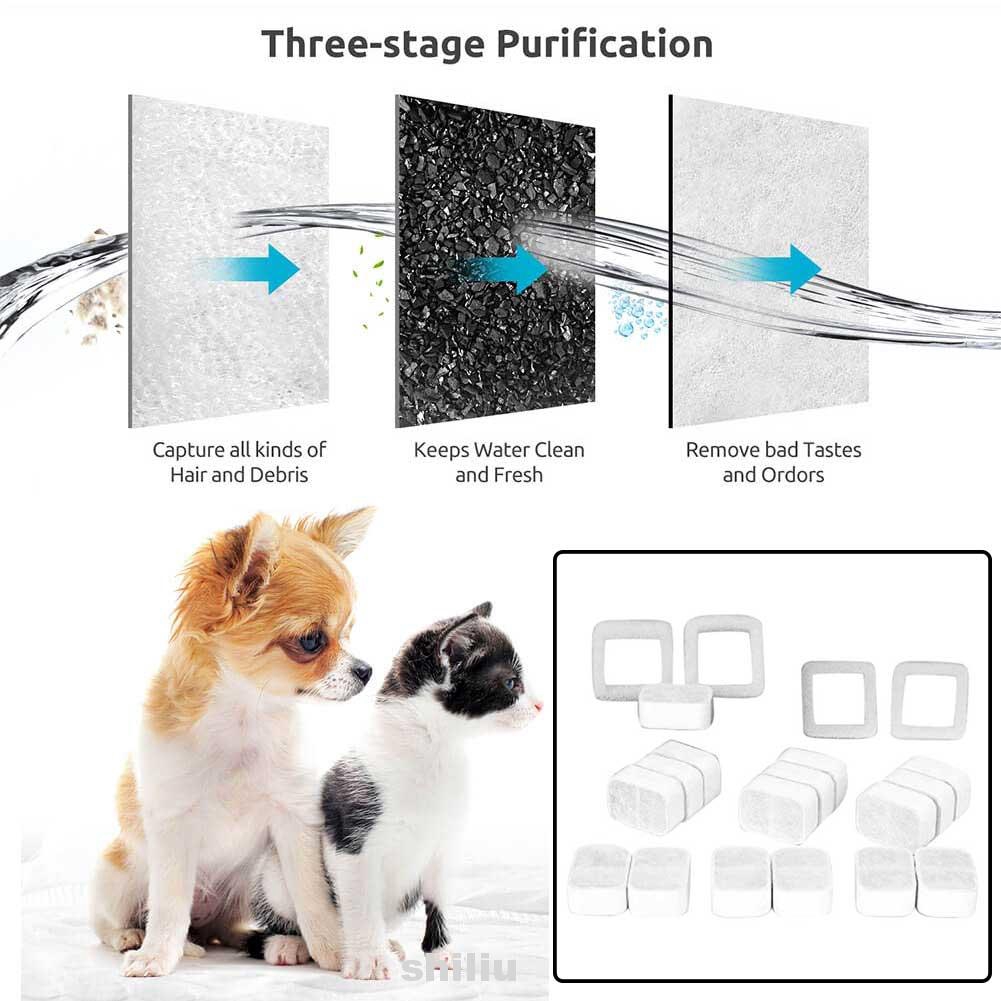 ipettie water fountain