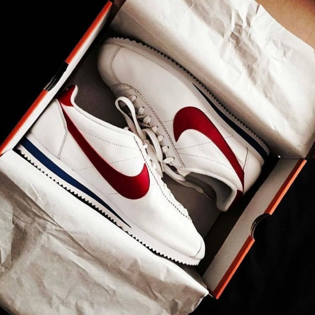 nike cortez forrest gump price ph
