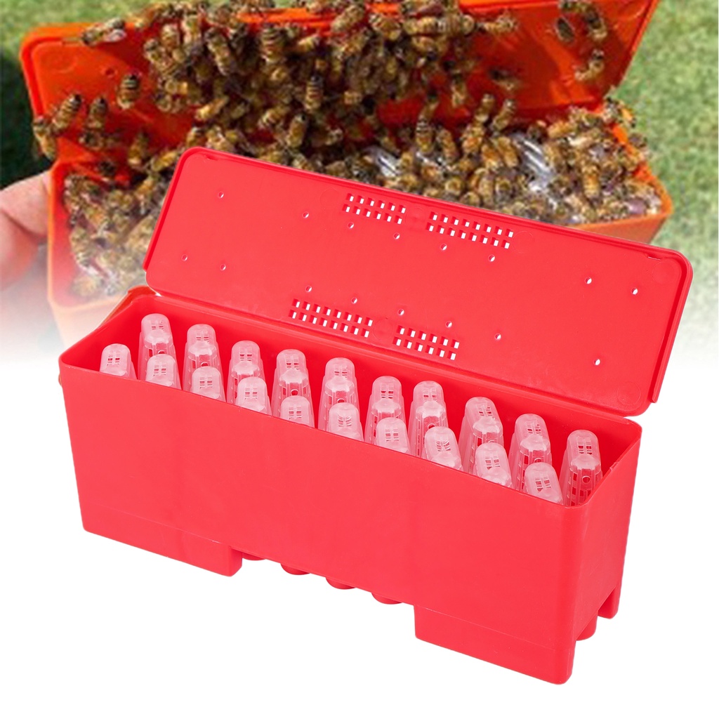 Beekeeper Supplies Queen Bee Transport Box With Queen Cages Rearing ...