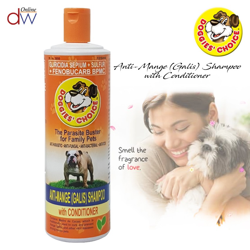 big dog breeds good with families