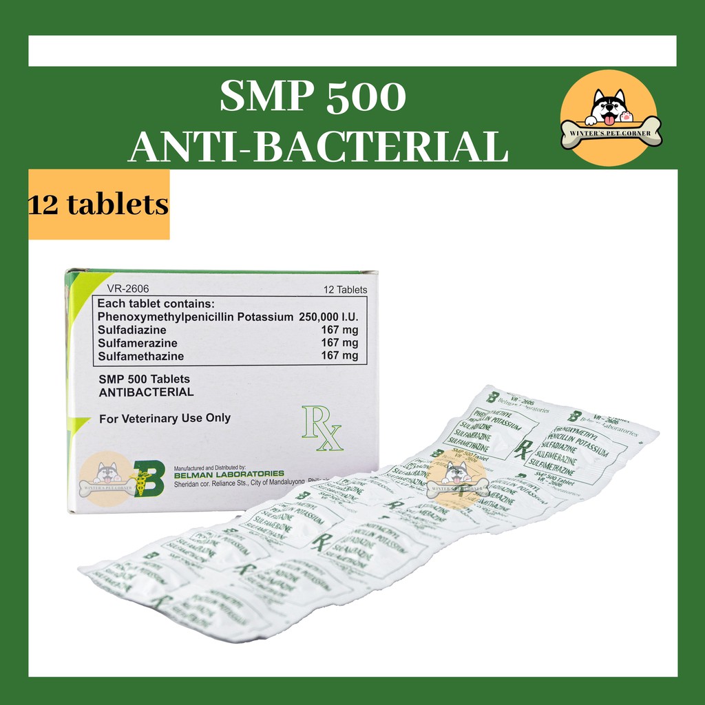 SMP 500 Antibacterial Tablets Box Of 12 Tablets Shopee Philippines