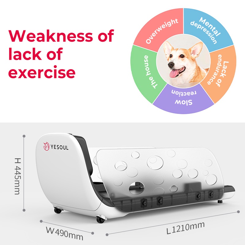 Xiaomi YESOUL Q1 Pet Dog Cat Kitten Puppy Indoor Treadmill w/ a Smart Feeder (dog and cat toys） #4