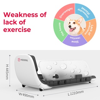 Xiaomi YESOUL Q1 Pet Dog Cat Kitten Puppy Indoor Treadmill w/ a Smart Feeder (dog and cat toys） #4