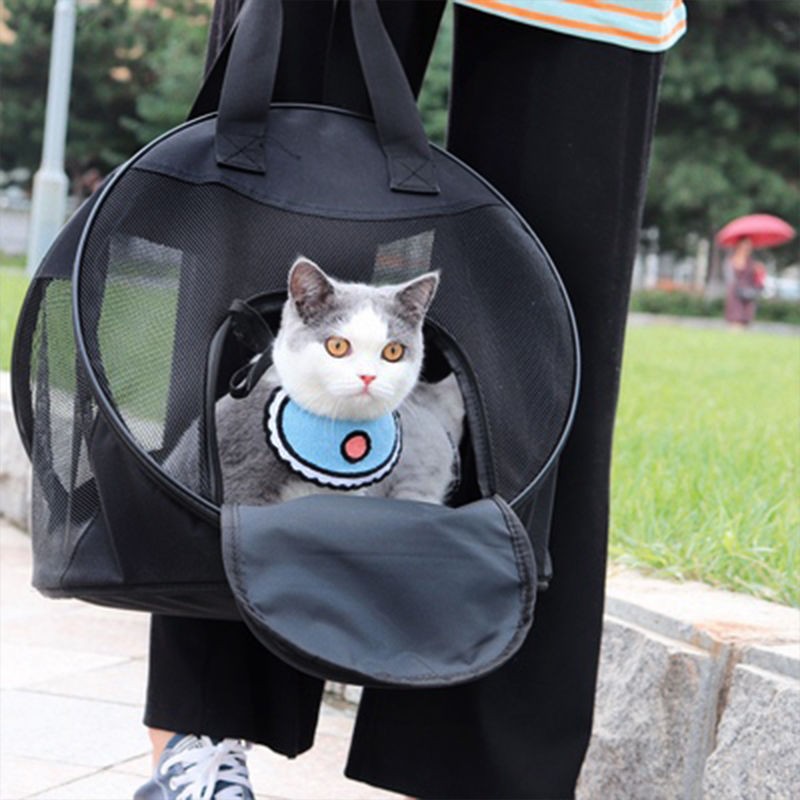cat in the bag carrier