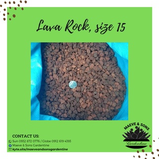 Lava rock #15 for plants, 1 kg by Maeve and Sons Gardentine