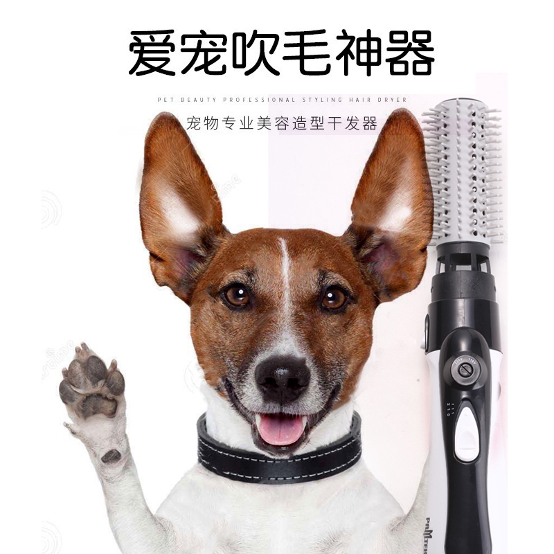 dog blow dryer