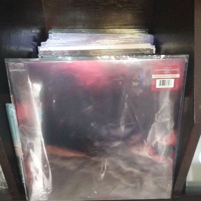 HAYLEY WILLIAMS FLOWERS for VASES / descansos Pink Smoke Vinyl Shopee