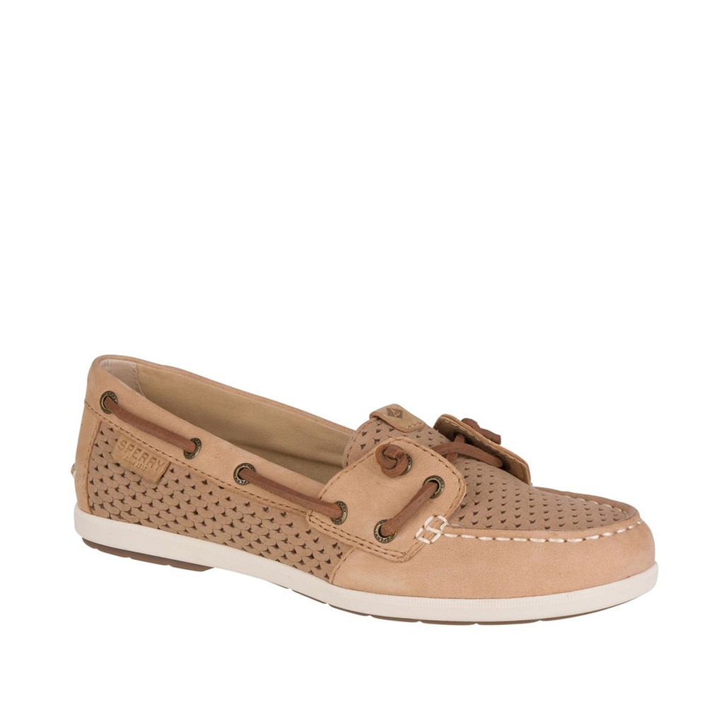 sperry women's coil ivy boat shoes