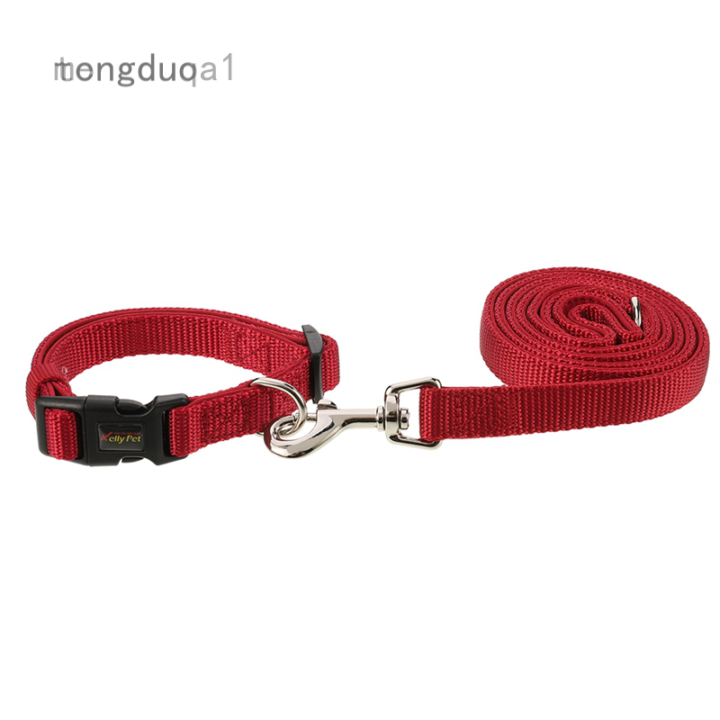 matching collar and leash