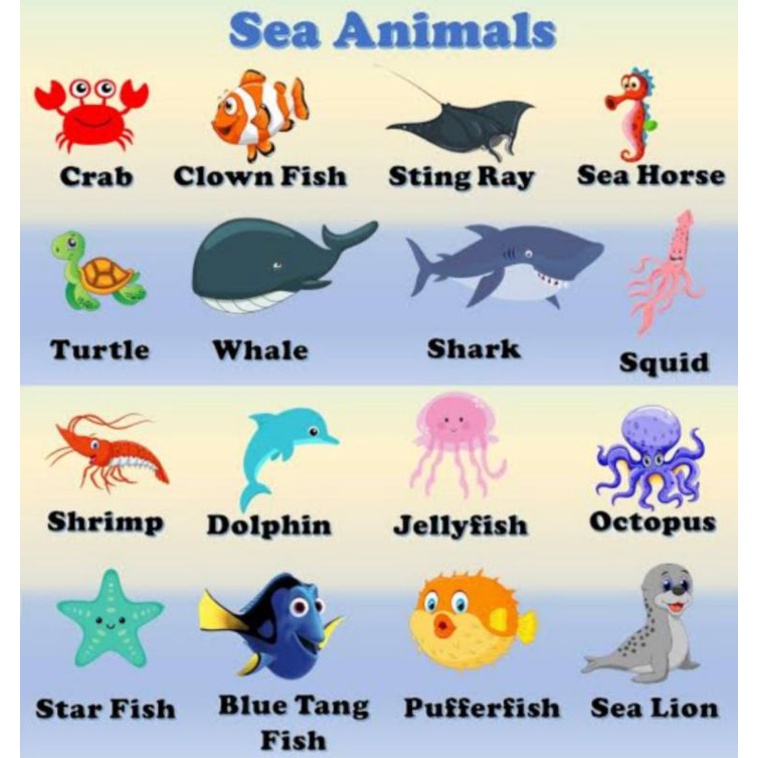 aquatic animals chart