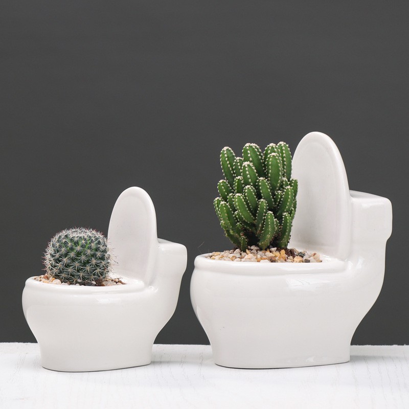Popular Cartoon Succulent Plant Pot Shopee Philippines