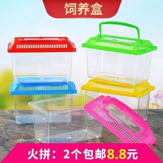 Fish tank turtle box hamster crawling pet reptile snail silkworm baby horned frog insect praying man