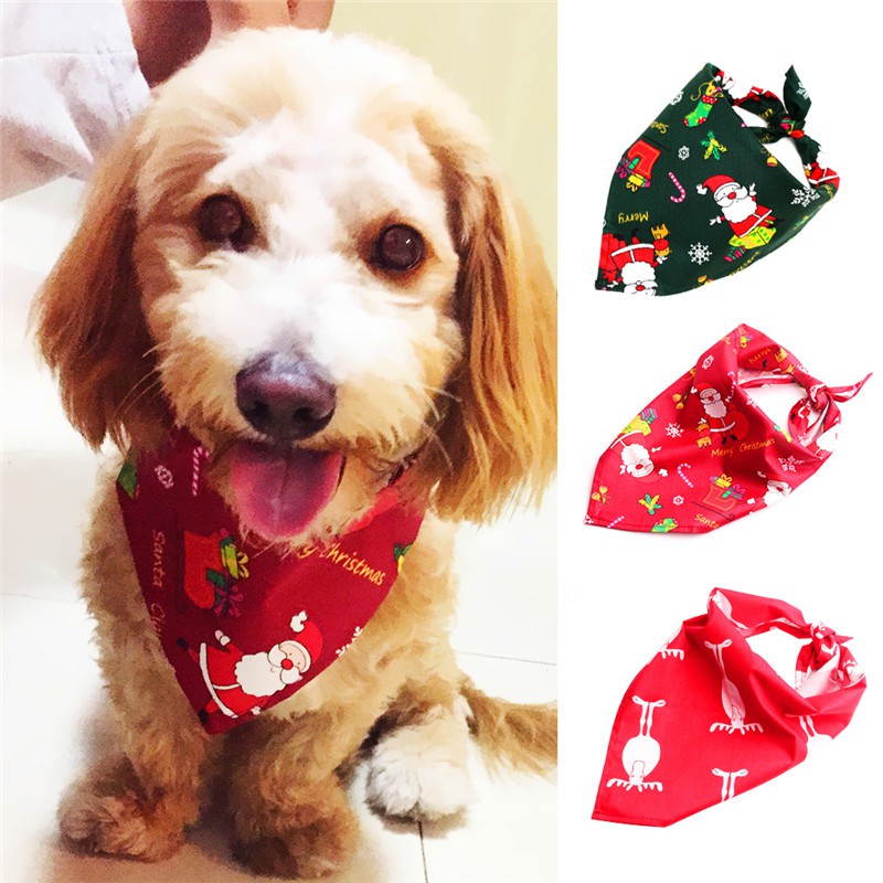 dog santa scarf