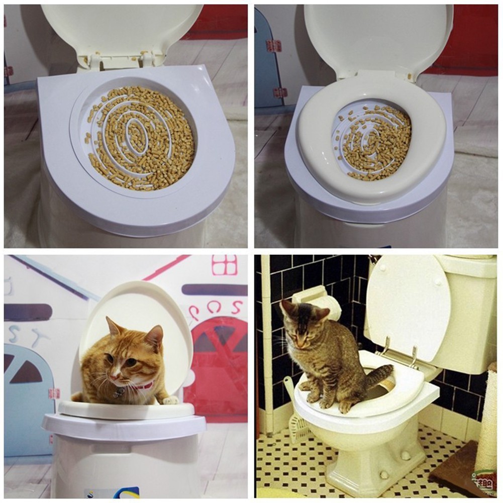 kitten toilet training kit