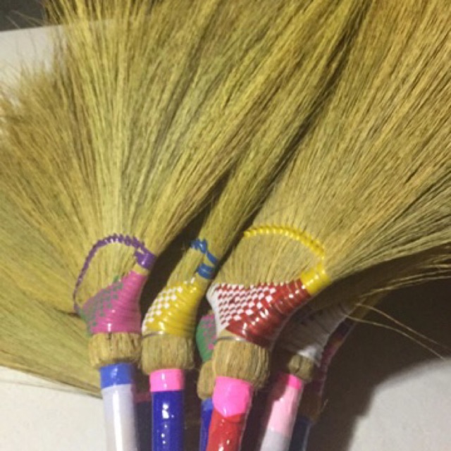 broom ( walis tambo ) Shopee Philippines