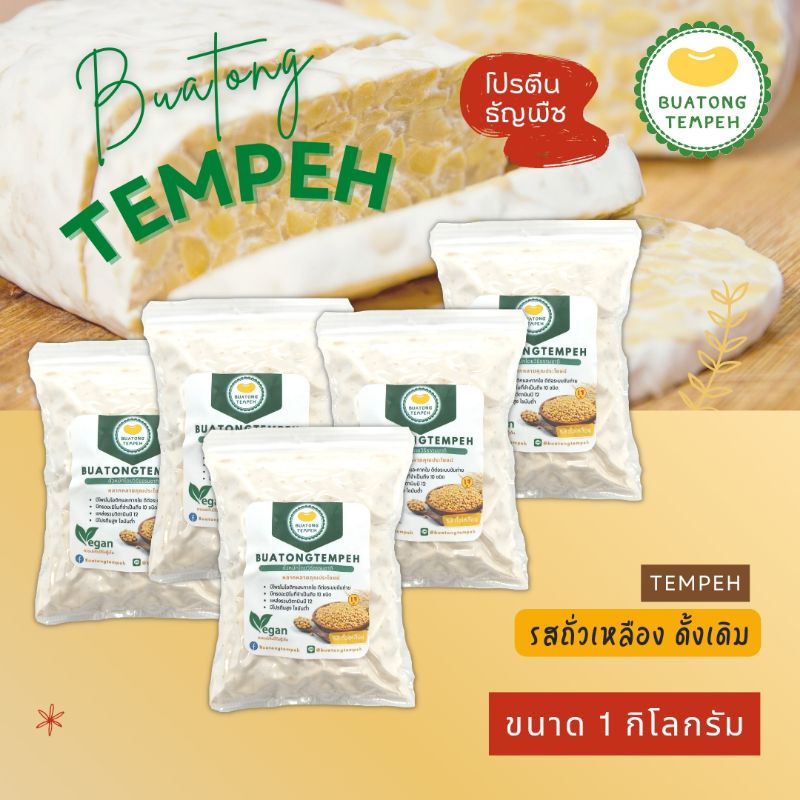 Keto Vegan Vegetarian Fresh Tempeh Original Flavor (1KG) Shopee