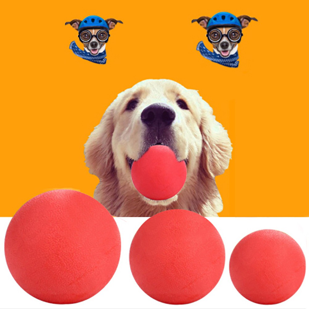 dog bouncy ball