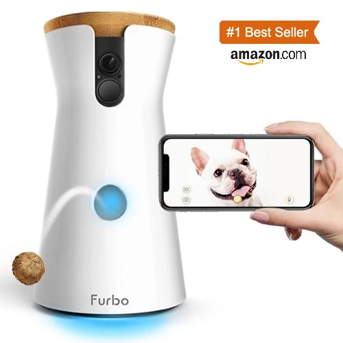 furbo dog camera near me