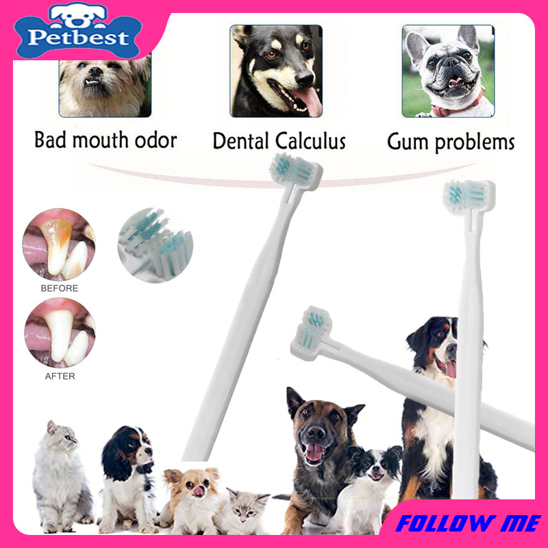 PetBest〓★Animal Toothbrush Two Toothbrushes for Cats and Dogs Oral ...