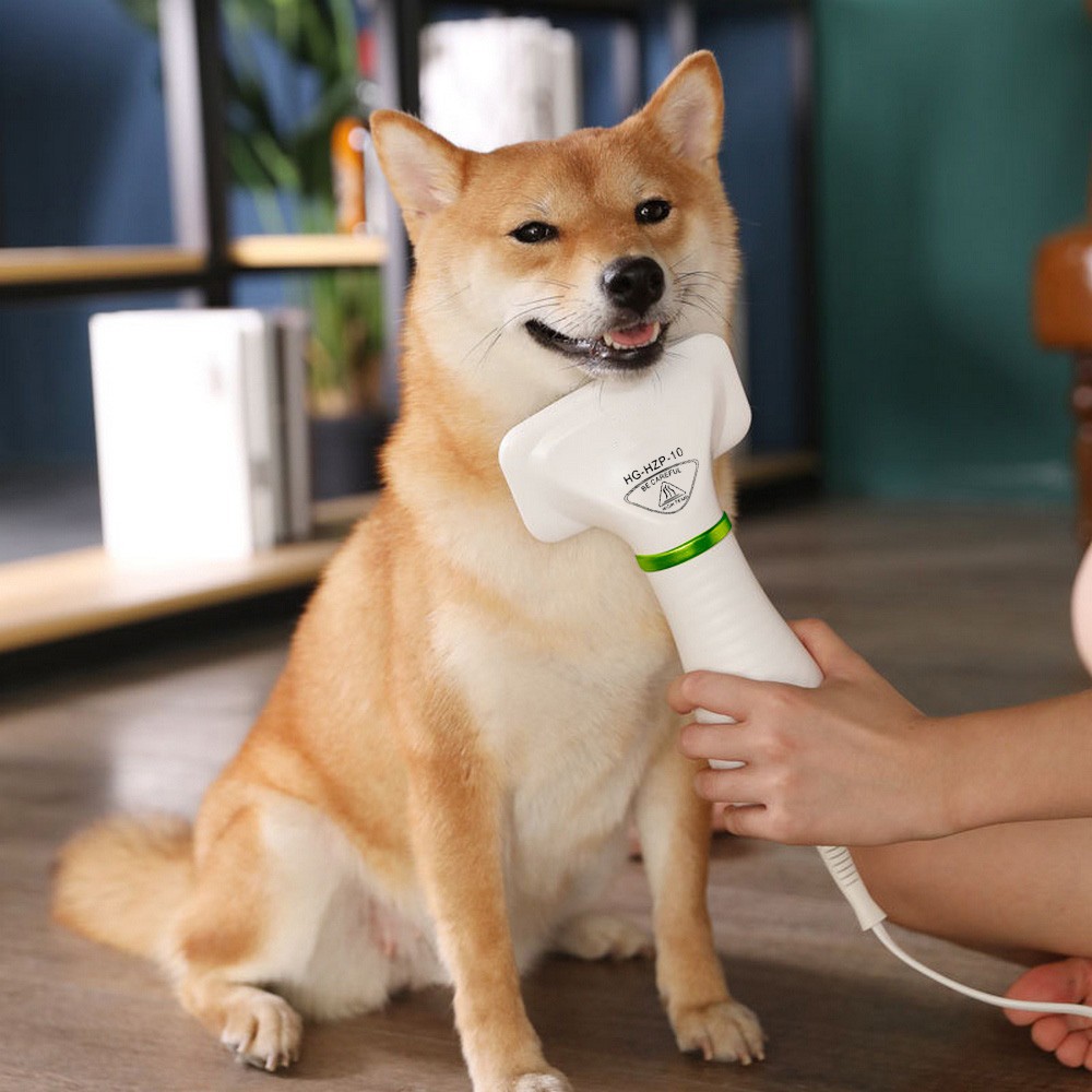 dog coat blower