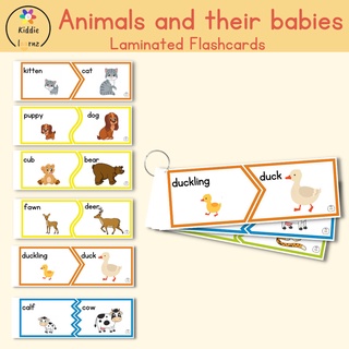 Animals & their Young ones - Laminated Flashcards