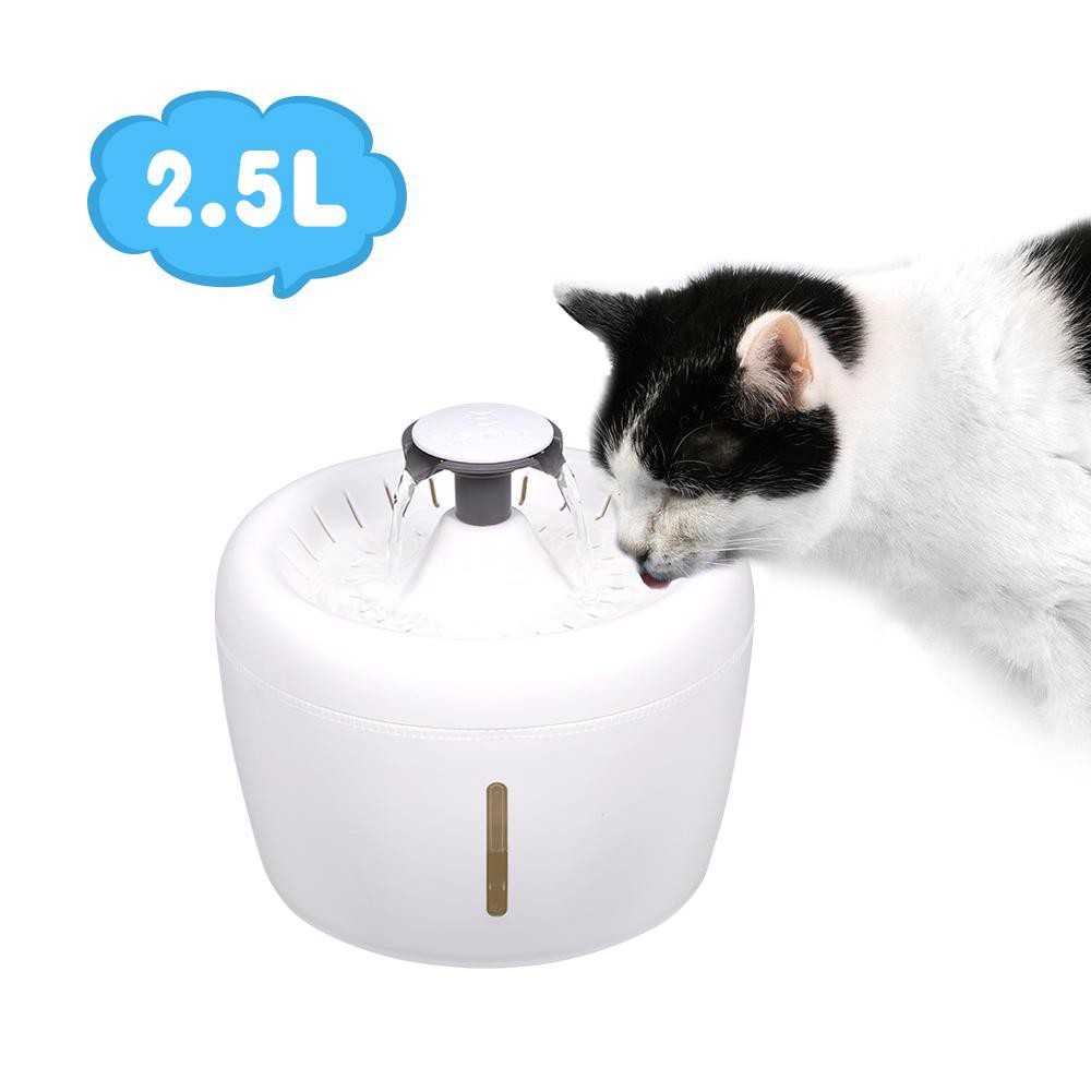 electric automatic cat feeder