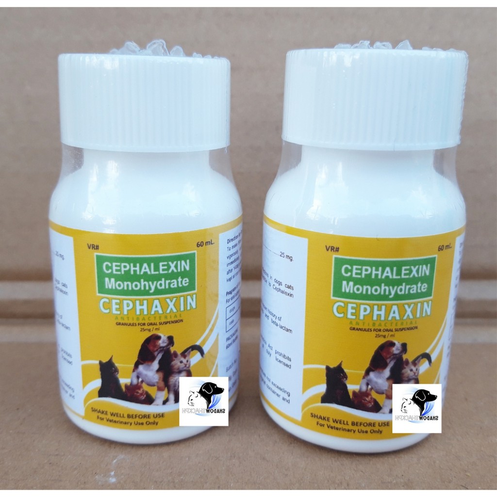 can you give cephalexin to a dog