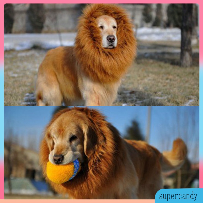 Lion Mane Wig with Ears for Large Dog Halloween Clothes Fancy Dress Up Pet Costume Supplies With E #6