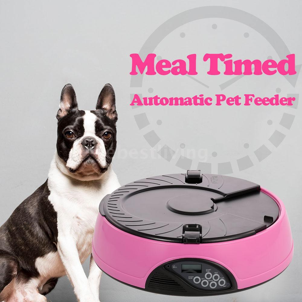 Ebl Automatic Pet Feeder Timer Dog Food Dispenser Water Food Bowl